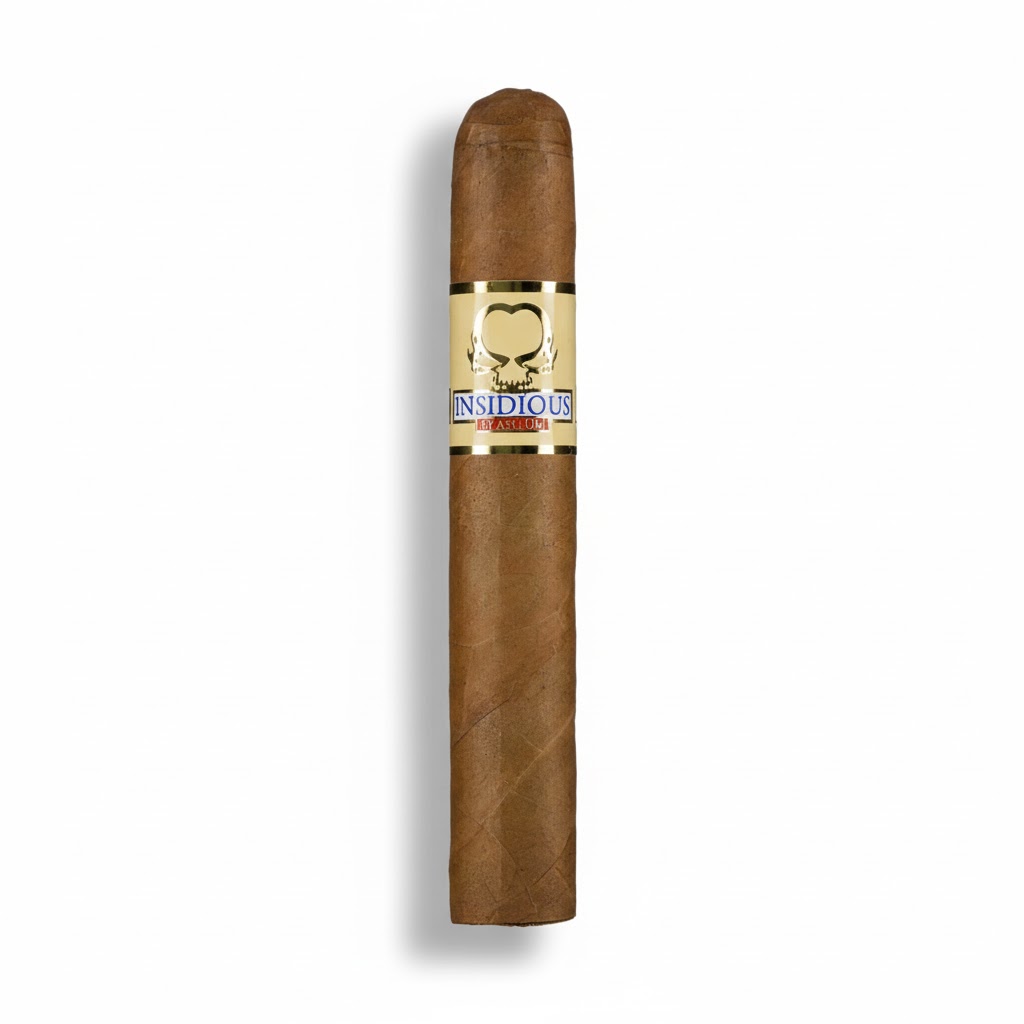 Asylum Insidious Robusto - Single Cigar