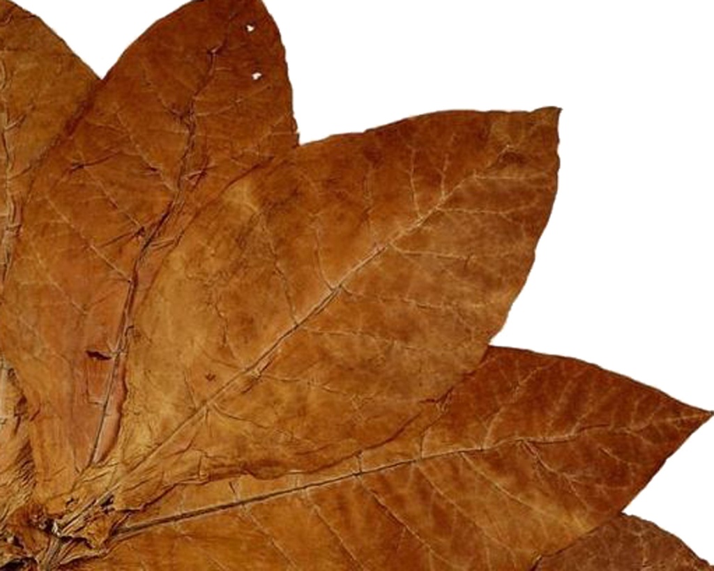 Pipe Tobacco - Kohlhase & Kopp Winter Edition Lim. Ed. 2024 - Tin Of 100G